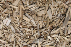 biomass boilers Cofton